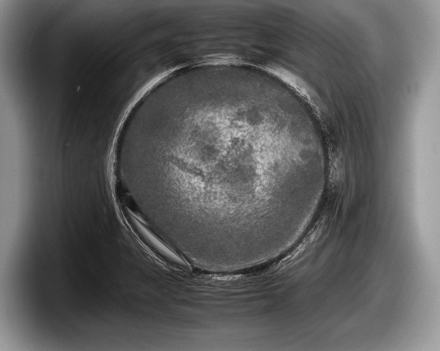 X0000097861325200803211246