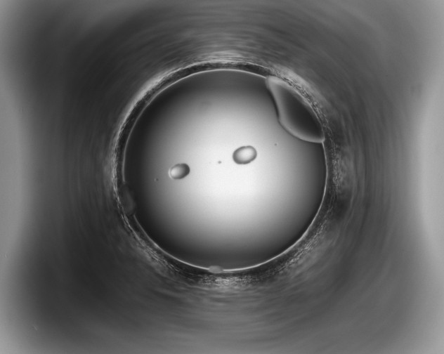 X0000097861326200803211246