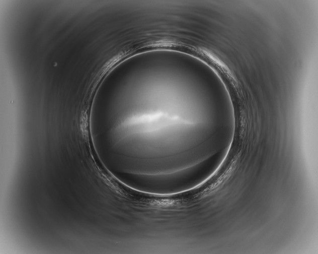 X0000097861329200803211246