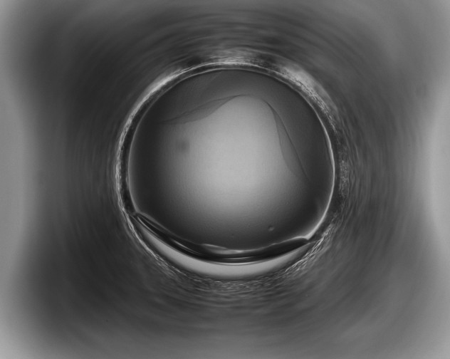 X0000097861331200803211246