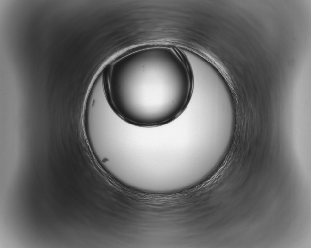 X0000097861332200803211246