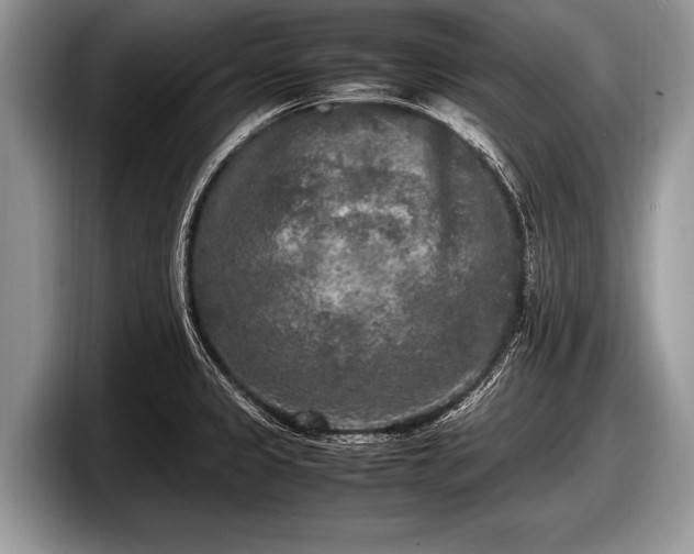 X0000097861333200803211246