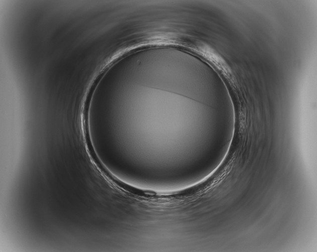 X0000097861334200803211246