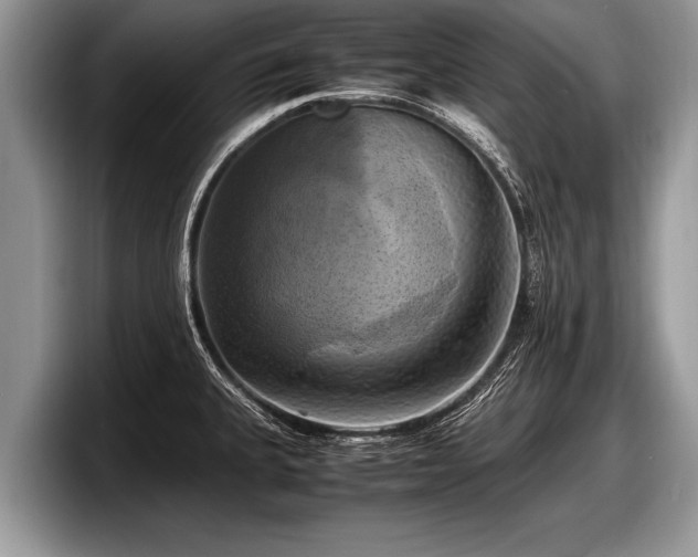 X0000097861335200803211246