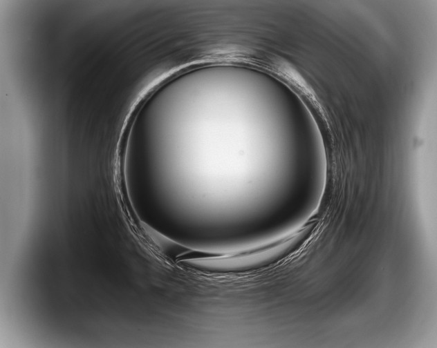 X0000097861336200803211246