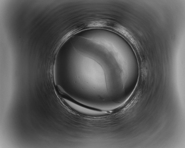 X0000097861337200803211246