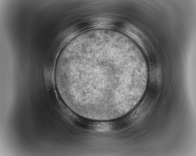 X0000097861338200803211247