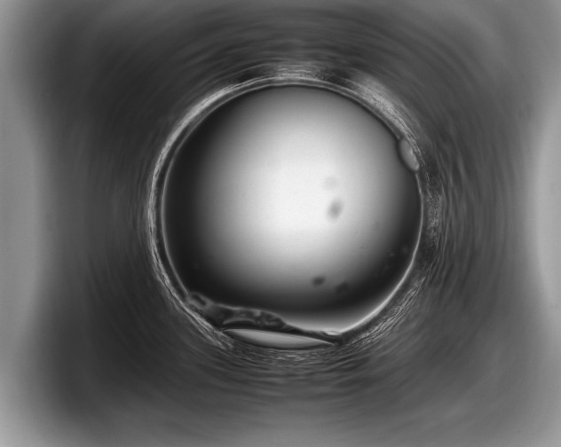 X0000097861339200803211247