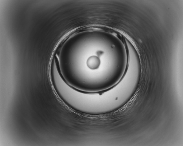 X0000097861341200803211247