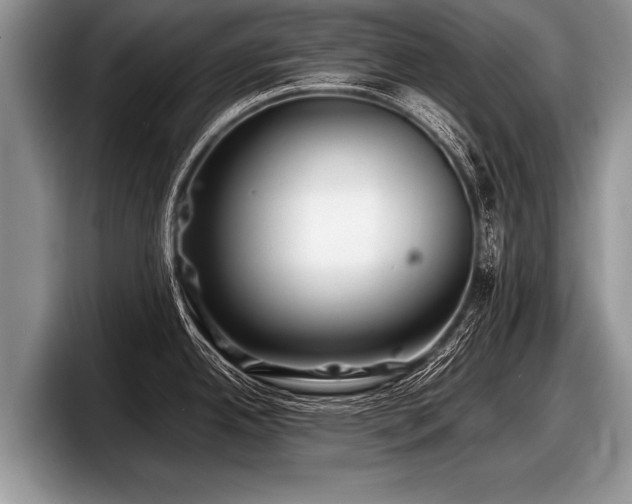 X0000097861342200803211247