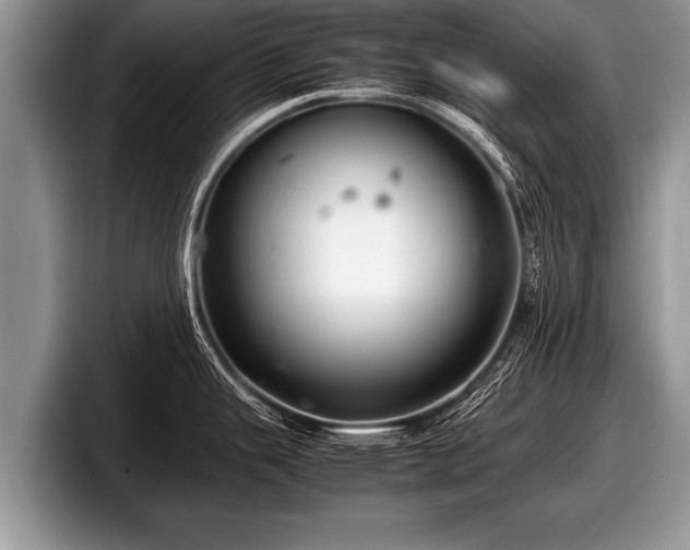 X0000097861343200803211247