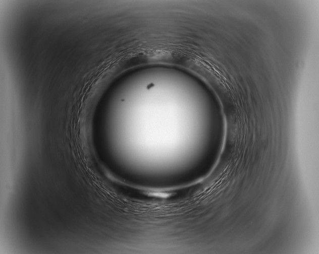 X0000097861345200803211246