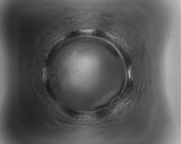 X0000097861347200803211246