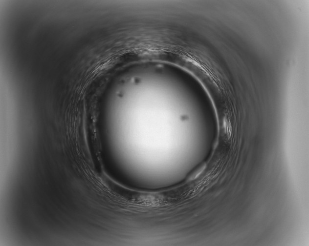 X0000097861348200803211246