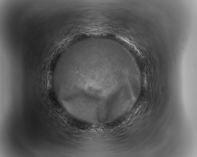 X0000097861350200803211246