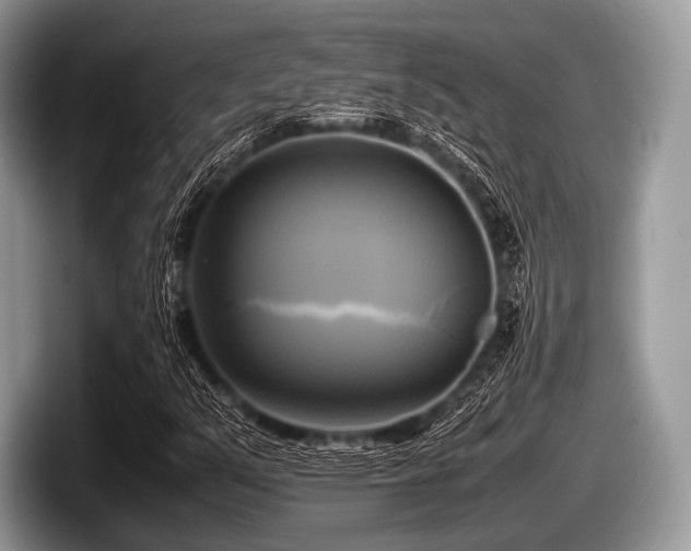 X0000097861351200803211246