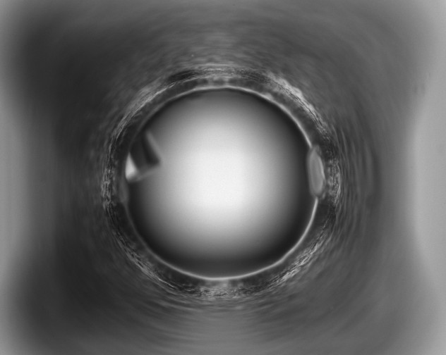X0000097861352200803211246