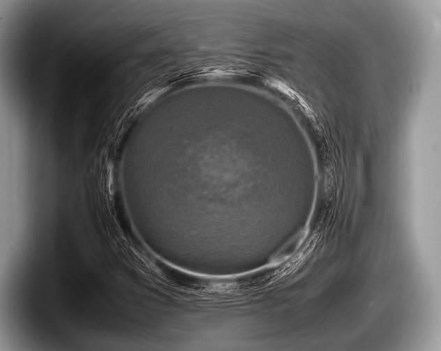 X0000097861353200803211246