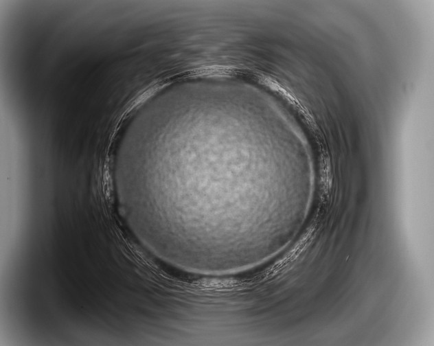 X0000097861354200803211246