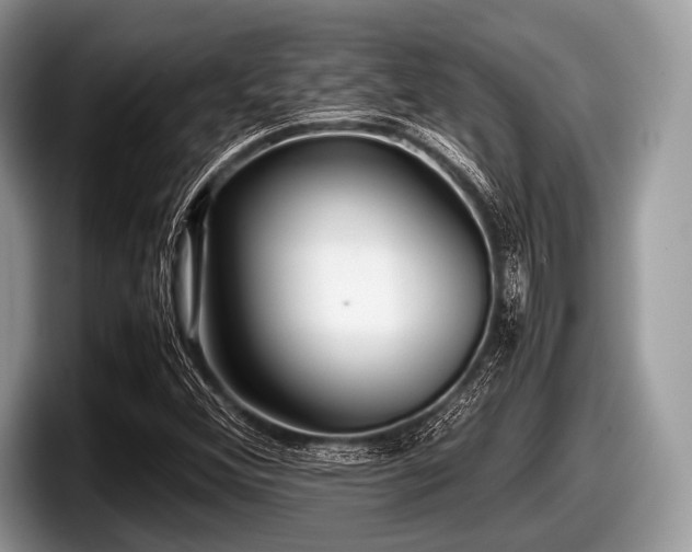 X0000097861356200803211246