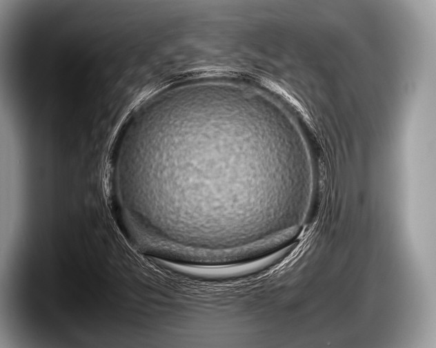 X0000097861357200803211246