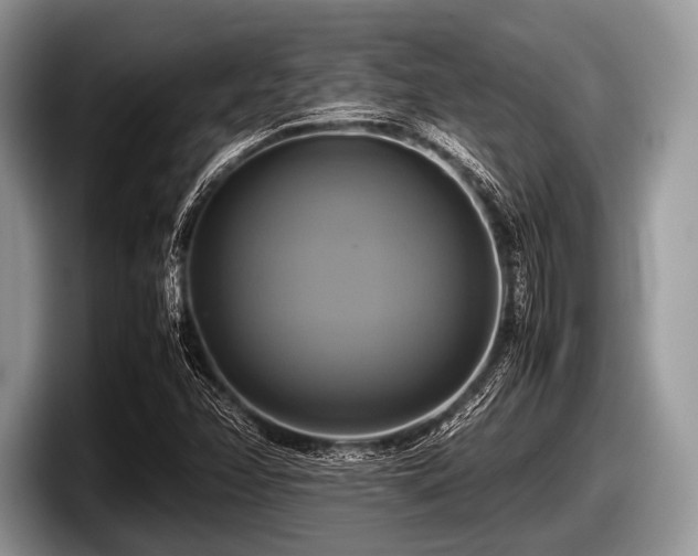 X0000097861358200803211246