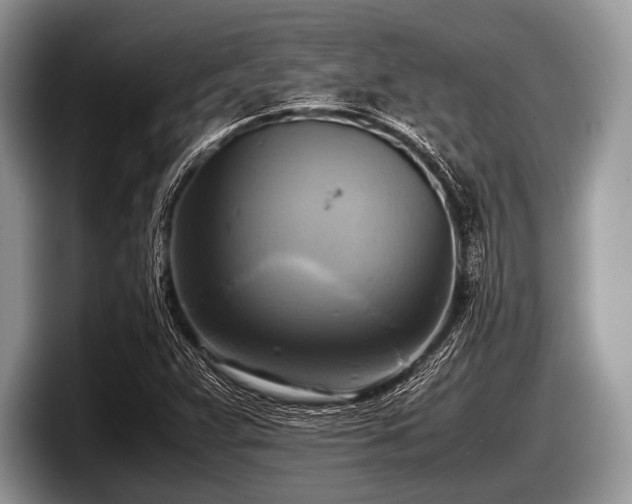 X0000097861359200803211246