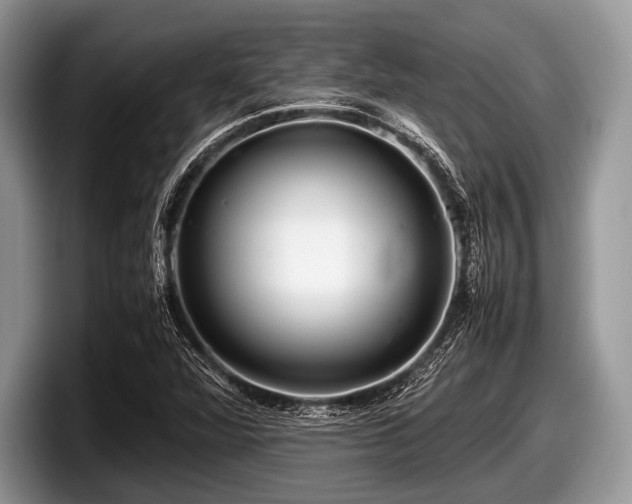 X0000097861360200803211246