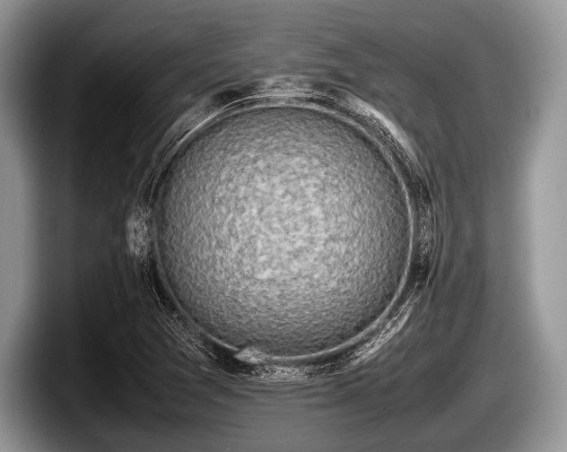 X0000097861361200803211246