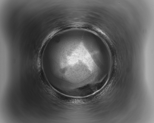 X0000097861362200803211246