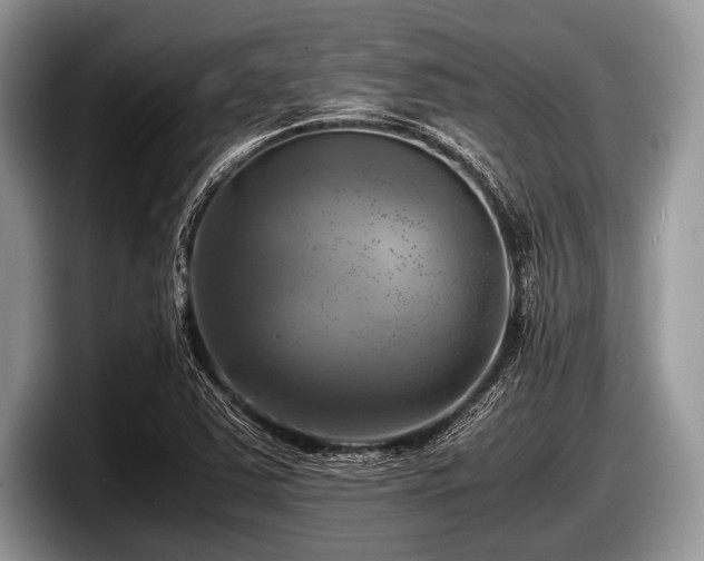 X0000097861363200803211246