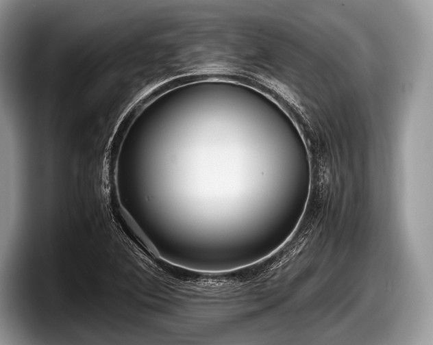 X0000097861364200803211246