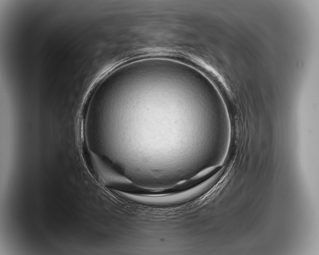 X0000097861365200803211246