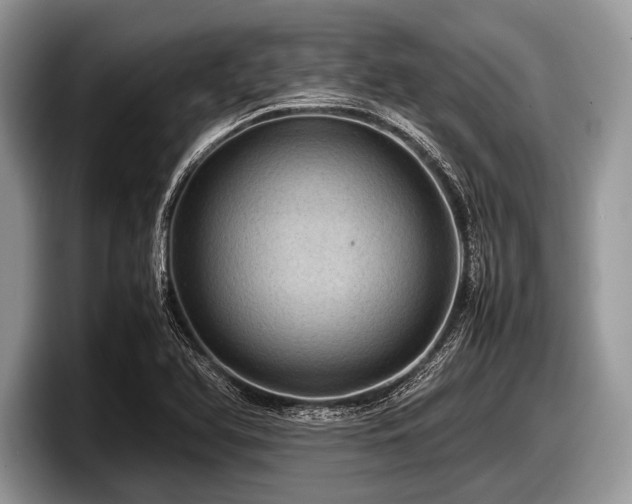 X0000097861366200803211246