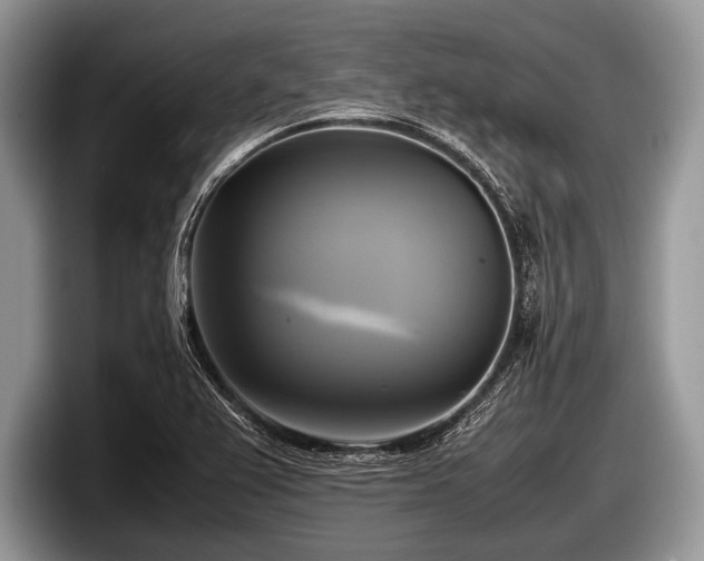 X0000097861367200803211246