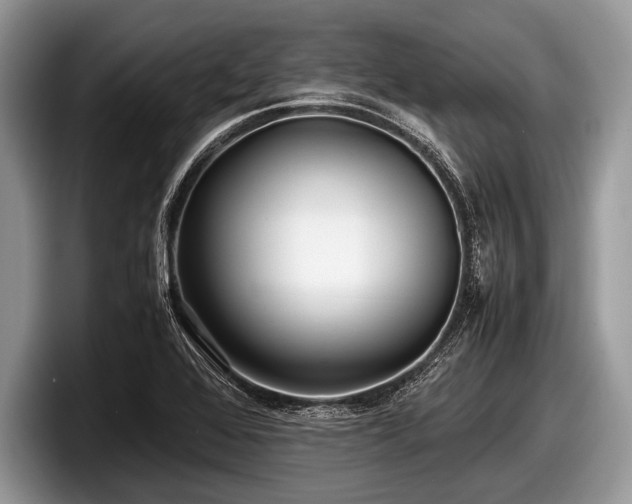 X0000097861368200803211246