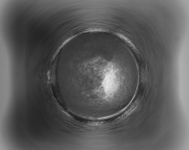 X0000097861369200803211246