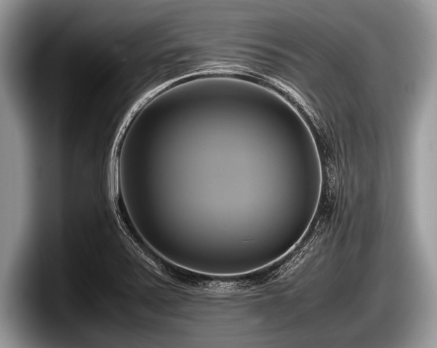 X0000097861371200803211246