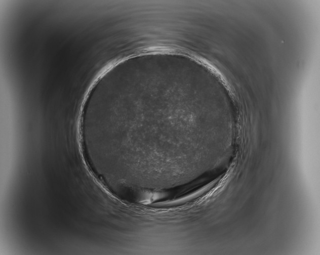 X0000097861373200803211246