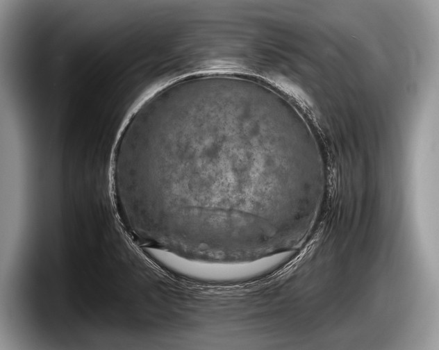 X0000097861374200803211246