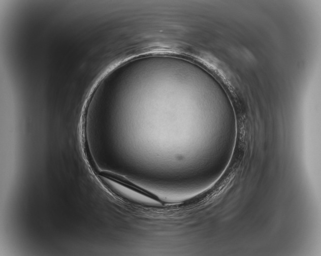 X0000097861375200803211246