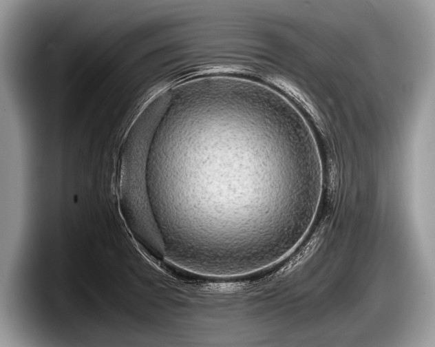 X0000097861377200803211246