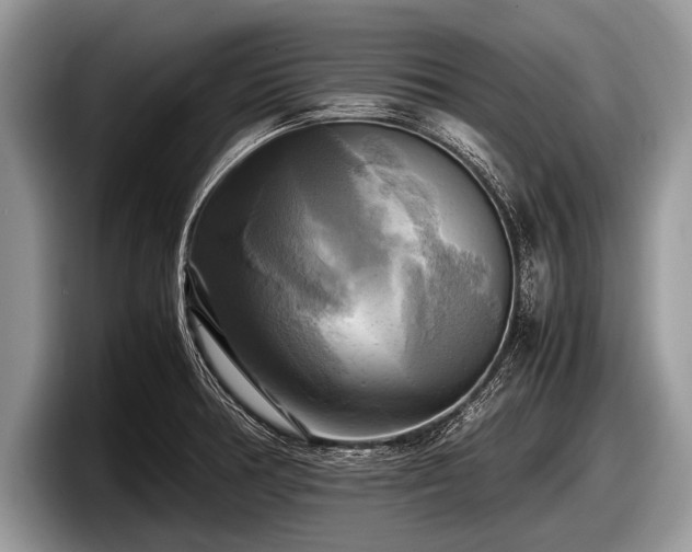 X0000097861378200803211246