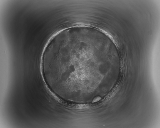 X0000097861379200803211246