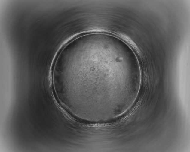 X0000097861380200803211246