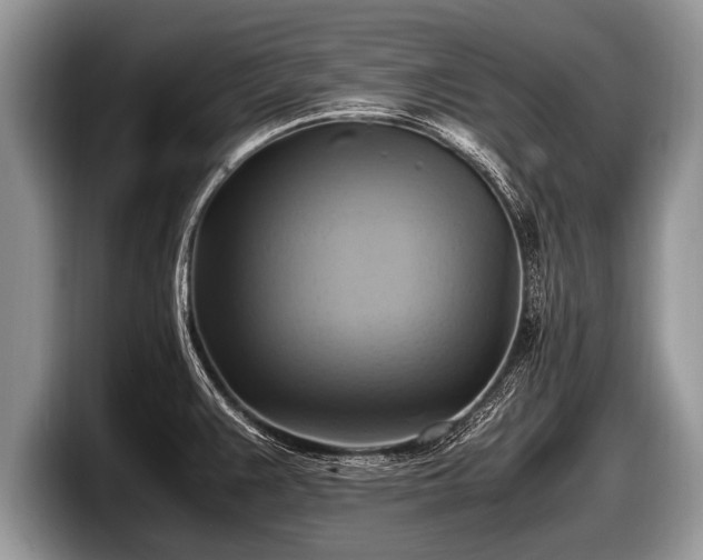 X0000097861383200803211245