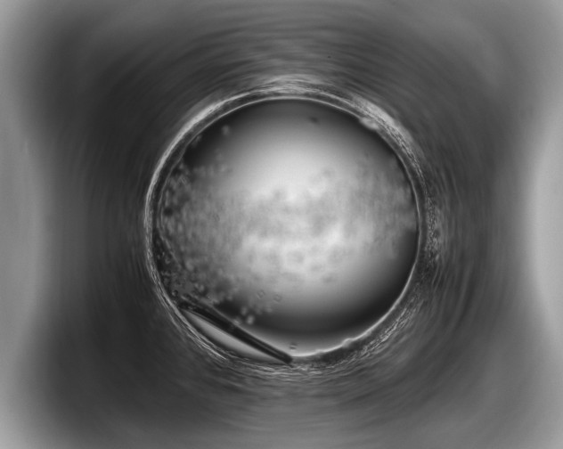 X0000097861384200803211245
