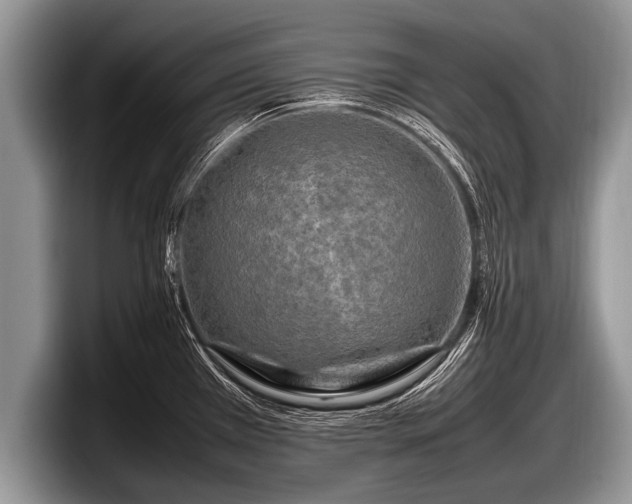 X0000097861385200803211245