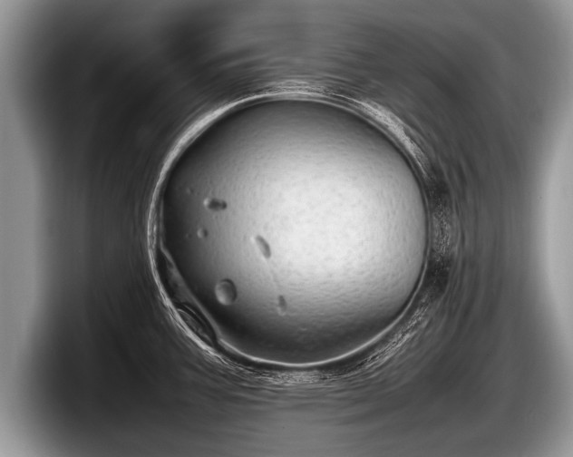 X0000097861387200803211245