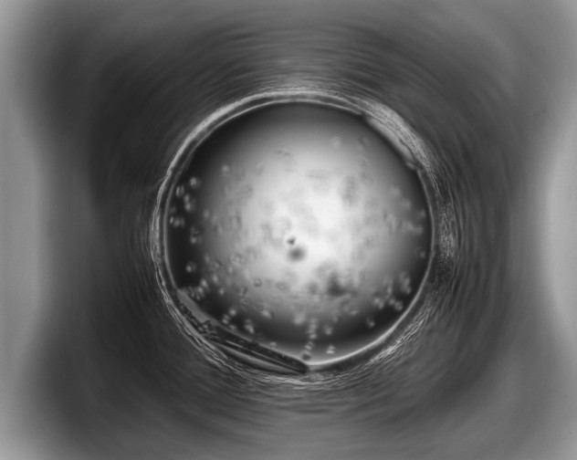 X0000097861388200803211245